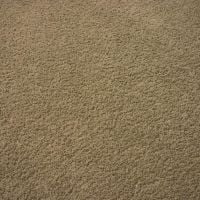carpet stretching3