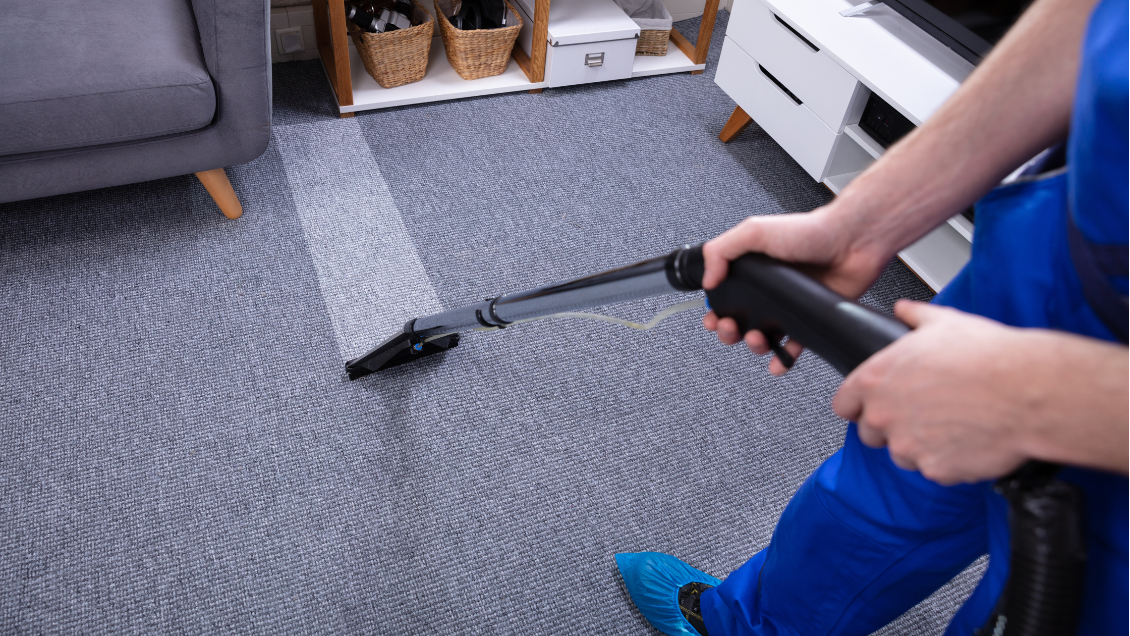how often to get carpet cleaned adelaide